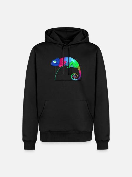 Fibonacci Tag Goldenes Ratio Mathe Chamäleon - Männer Premium Bio Hoodie - Schwarz