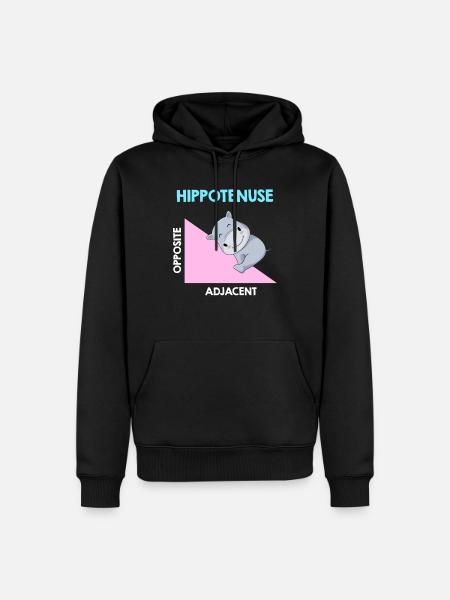 Hippotenuse Algebra Analysis - Männer Premium Bio Hoodie - Schwarz