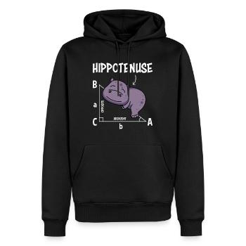 Professeur de mathématiques Hippotenuse Mathématiques - Sweat à capuche Premium bio Homme - noir - Devant - Nico (187cm)