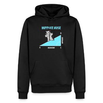 Hippotenuse Professeur de mathématiques Mathématicien - Sweat à capuche Premium bio Homme - noir - Devant - Nico (187cm)