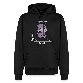 Hippotenuse Drôle Math - Sweat à capuche Premium bio Homme - noir - Devant - Nico (187cm)