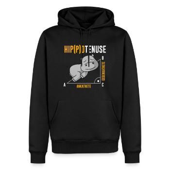 Nieldpferd Hippo Hippotenuse Algebra Mathelehrer - Männer Premium Bio Hoodie - Schwarz - Vorne - Nico (187cm)