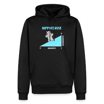 Hippotenuse Professeur de mathématiques Mathématicien - Sweat à capuche Premium bio Homme - noir - Devant - Nico (187cm)