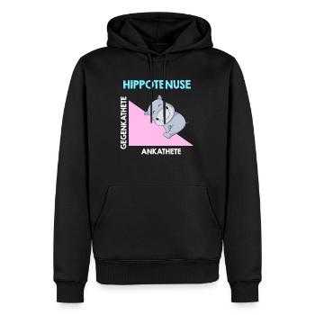 Hippotenuse Algebra Analysis - Männer Premium Bio Hoodie - Schwarz - Vorne - Nico (187cm)
