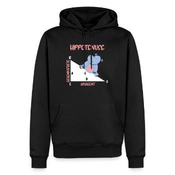 Mathématicien Hippotenuse Hippo Triangle - Sweat à capuche Premium bio Homme - noir - Devant - Nico (187cm)