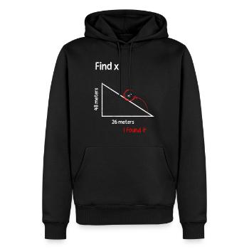 Trouver x Fine X Math Math Professeur - Sweat à capuche Premium bio Homme - noir - Devant - Nico (187cm)