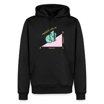 Professeur de mathématiques mathématicien Hippotenuse - Sweat à capuche Premium bio Homme - noir - Devant - Nico (187cm)
