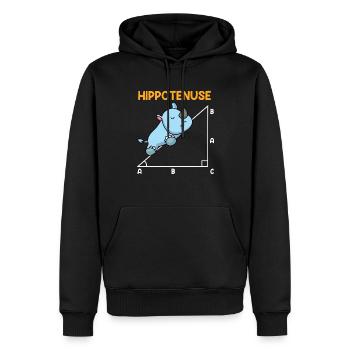 Hypoténuse Hippopotence Math - Sweat à capuche Premium bio Homme - noir - Devant - Nico (187cm)