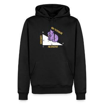 Hippotenuse Math - Sweat à capuche Premium bio Homme - noir - Devant - Nico (187cm)