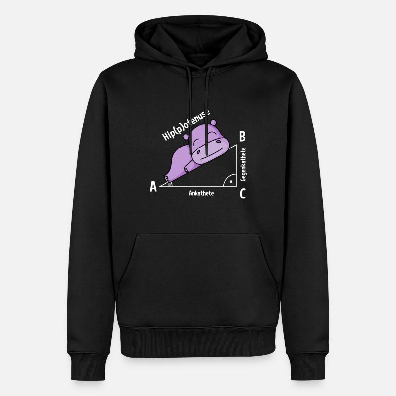 Professeur de mathématiques Hipotenuse Math - Sweat à capuche Premium bio Homme - noir