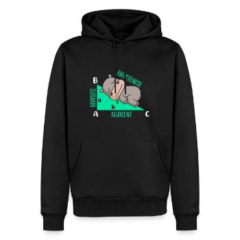Lutiges Math Design Hipotenuse - Sweat à capuche Premium bio Homme - noir - Devant - Nico (187cm)