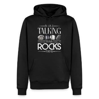 Collectionneur de roches Drôle de géologue Cadeau Science Géologue - Sweat à capuche Premium bio Homme - noir - Devant - Nico (187cm)