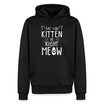 Are You Kitten Me Right Meow - Funny Cat Lover Kit - Men’s Premium Organic Hoodie - black - Front - Nico (187cm)