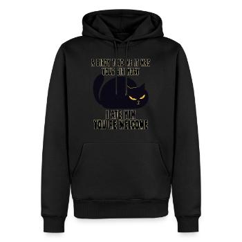 Chats Cadeau Propriétaires de chats Cyniques Chats - Sweat à capuche Premium bio Homme - noir - Devant - Nico (187cm)