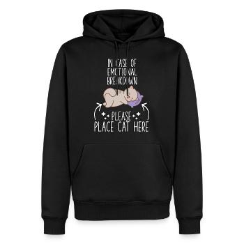 Katzen Fan Katzen kuscheln Motiv Katzenbesitzer - Männer Premium Bio Hoodie - Schwarz - Vorne - Nico (187cm)