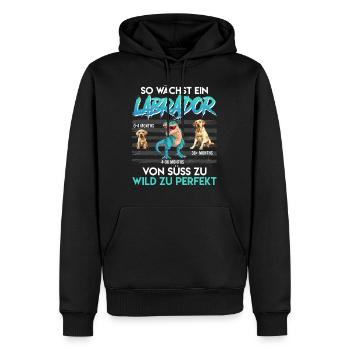 Labrador Hund SO WÄCHST EIN LABRADOR Lustiges - Männer Premium Bio Hoodie - Schwarz - Vorne - Nico (187cm)