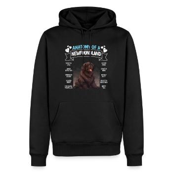 Newfie propriétaire ANATOMIE D’UN TERRE-NEUVE Drôle - Sweat à capuche Premium bio Homme - noir - Devant - Nico (187cm)