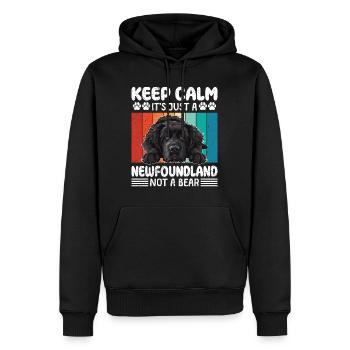 Newfie BLEIB COOL NEUFUNDLÄNDER KEIN GRIZZLY - Männer Premium Bio Hoodie - Schwarz - Vorne - Nico (187cm)