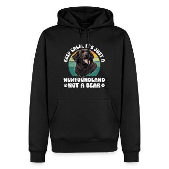 Neufundländer BLEIB COOL KEIN GRIZZLY BÄR NUR - Männer Premium Bio Hoodie - Schwarz - Vorne - Nico (187cm)