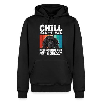 Newfie Besitzer CHILL IT'S A NEWFOUNDLAND NOT A - Männer Premium Bio Hoodie - Schwarz - Vorne - Nico (187cm)