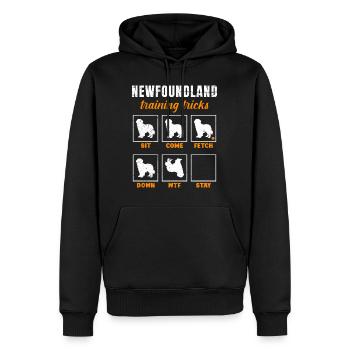 Propriétaire de Newfie ASTUCES D’ENTRAÎNEMENT DE TERRE-NEUVE - Sweat à capuche Premium bio Homme - noir - Devant - Nico (187cm)