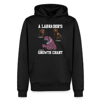 Labrador Liebhaber Labrador WACHSTUMSTABELLE - Männer Premium Bio Hoodie - Schwarz - Vorne - Nico (187cm)