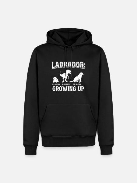 LABRADOR: At vokse op Labrador elskere Labrador - Herre Premium økologisk hoodie - sort