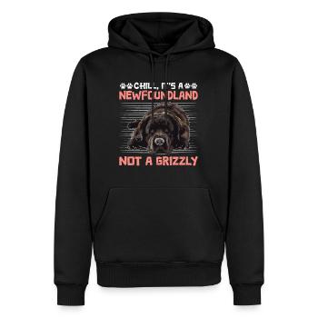 Newfie Besitzer CHILL IT'S A NEWFOUNDLAND NOT A - Männer Premium Bio Hoodie - Schwarz - Vorne - Nico (187cm)