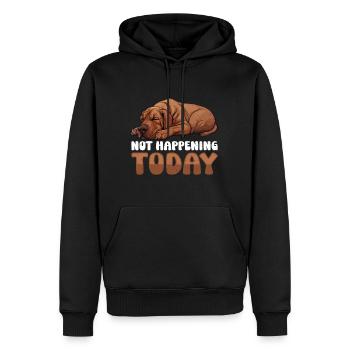 Propriétaire de Ridgeback AUJOURD’HUI CERTAINEMENT PAS TÊTU - Sweat à capuche Premium bio Homme - noir - Devant - Nico (187cm)