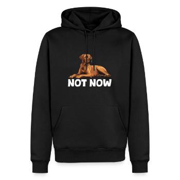 Rhodesian Ridgeback NOT NOW Propriétaires de chiens - Sweat à capuche Premium bio Homme - noir - Devant - Nico (187cm)