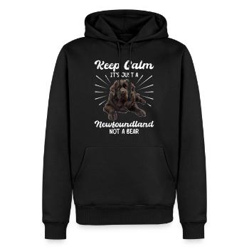 Neufundländer BLEIB COOL KEIN GRIZZLY BÄR NUR - Männer Premium Bio Hoodie - Schwarz - Vorne - Nico (187cm)