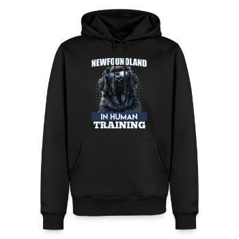 Newfie owner NEWFOUNDLAND IN HUMAN TRAINING - Men’s Premium Organic Hoodie - black - Front - Nico (187cm)