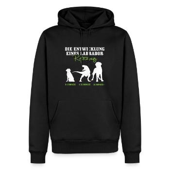 Labrador Hund DIE ENTWICKLUNG EINES LABRADORS - Männer Premium Bio Hoodie - Schwarz - Vorne - Nico (187cm)