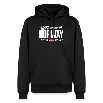 Norway Norway Norge Scandinavia Lillehammer - Men’s Premium Organic Hoodie - black - Front - Nico (187cm)