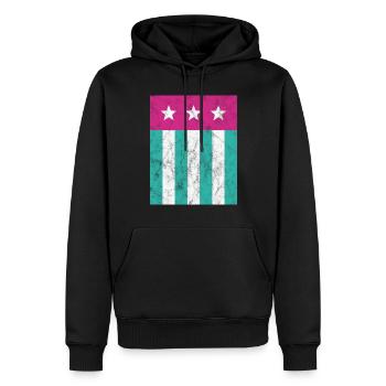 Étoiles et rayures Drapeau Rose Vert - Sweat à capuche Premium bio Homme - noir - Devant - Nico (187cm)