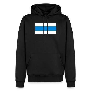 Drapeau de la Russie Nouveau - Sweat à capuche Premium bio Homme - noir - Devant - Nico (187cm)