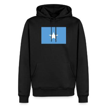 Drapeau officiel de la Somalie Somali Country Pride - Sweat à capuche Premium bio Homme - noir - Devant - Nico (187cm)