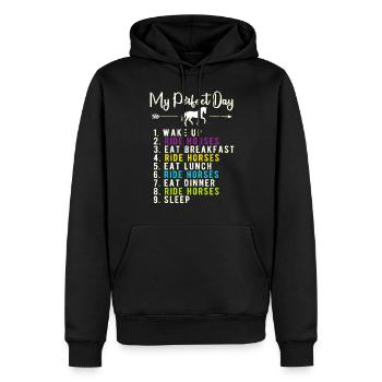 Mein perfekter Tag - Reitpferde - Männer Premium Bio Hoodie - Schwarz - Vorne - Nico (187cm)