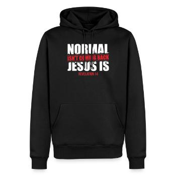 Das Normale Kommt Nicht Zurück Offenbarung - Männer Premium Bio Hoodie - Schwarz - Vorne - Nico (187cm)