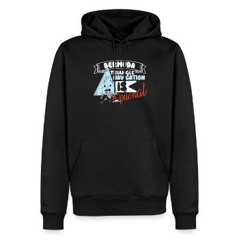Mysterious enforced disappearances in the Bermuda Triangle - Men’s Premium Organic Hoodie - black - Front - Nico (187cm)