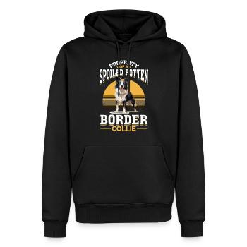 Border Collie Dog Property of a spoiled rotten - Männer Premium Bio Hoodie - Schwarz - Vorne - Nico (187cm)