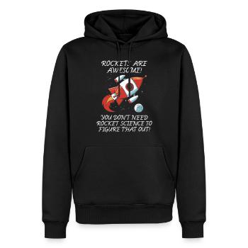 Raquettes, Ingénieur aérospatial, Aéronautique, Astrophysique - Sweat à capuche Premium bio Homme - noir - Devant - Nico (187cm)
