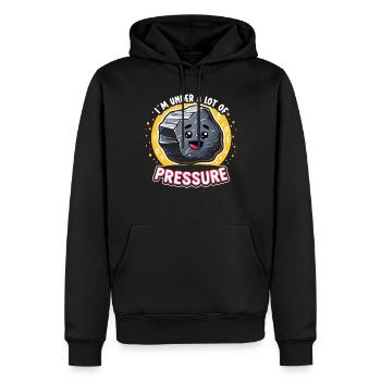 Geologie-steinjagd Achat-jäger-steinsammeln - Männer Premium Bio Hoodie - Schwarz - Vorne - Nico (187cm)