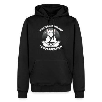 Kung Fu Chinesisches Kung Fu Asiatisches Kung Fu - Männer Premium Bio Hoodie - Schwarz - Vorne - Nico (187cm)