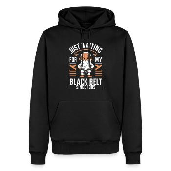 Kung Fu Chinesisches Kung Fu Asiatisches Kung Fu - Männer Premium Bio Hoodie - Schwarz - Vorne - Nico (187cm)
