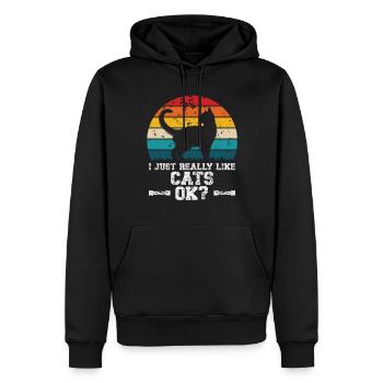 I really like cats - Männer Premium Bio Hoodie - Schwarz - Vorne - Nico (187cm)