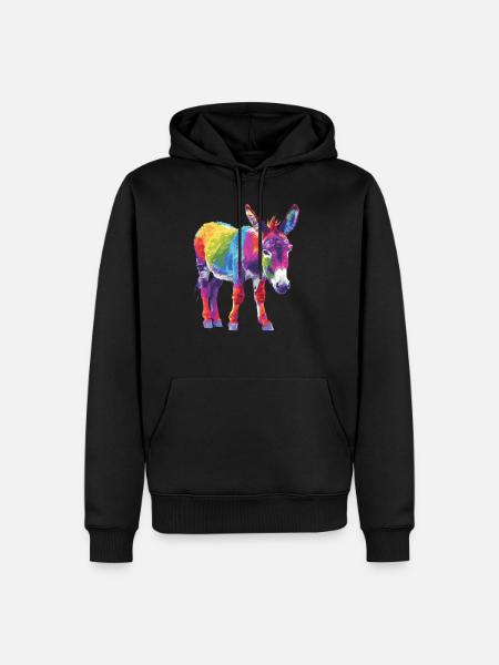 Bunter Esel Regenbogen Kunstwerk - Männer Premium Bio Hoodie - Schwarz