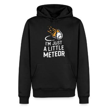 Stargazing And Meteor Shower Enthusiast - Männer Premium Bio Hoodie - Schwarz - Vorne - Nico (187cm)