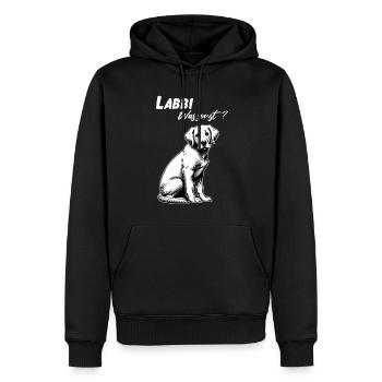 Chien Labrador Retriever Labbi Quoi d’autre pour une promenade - Sweat à capuche Premium bio Homme - noir - Devant - Nico (187cm)