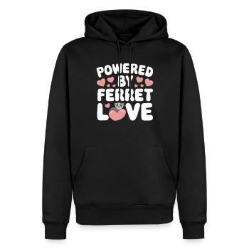 Propriétaire de furet, Amateur de furets, Bonbons - Sweat à capuche Premium bio Homme - noir - Devant - Nico (187cm)